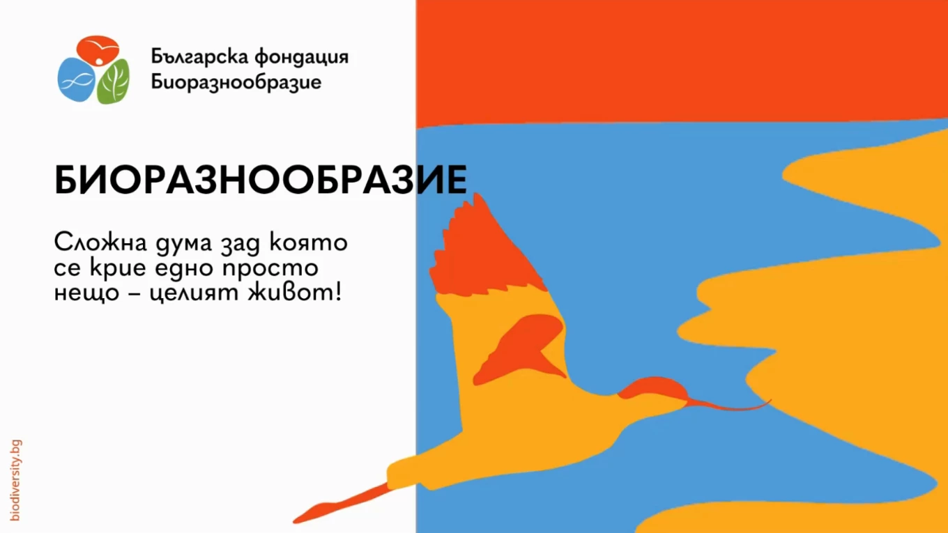 Уебинар на тема „Биоразнообразие“ – четвърто практическо обучение