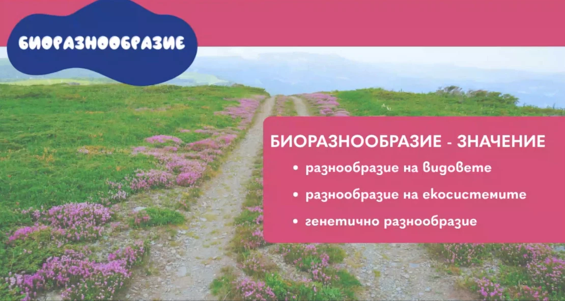 Уебинар на тема "Биоразнообразие и влажни зони"