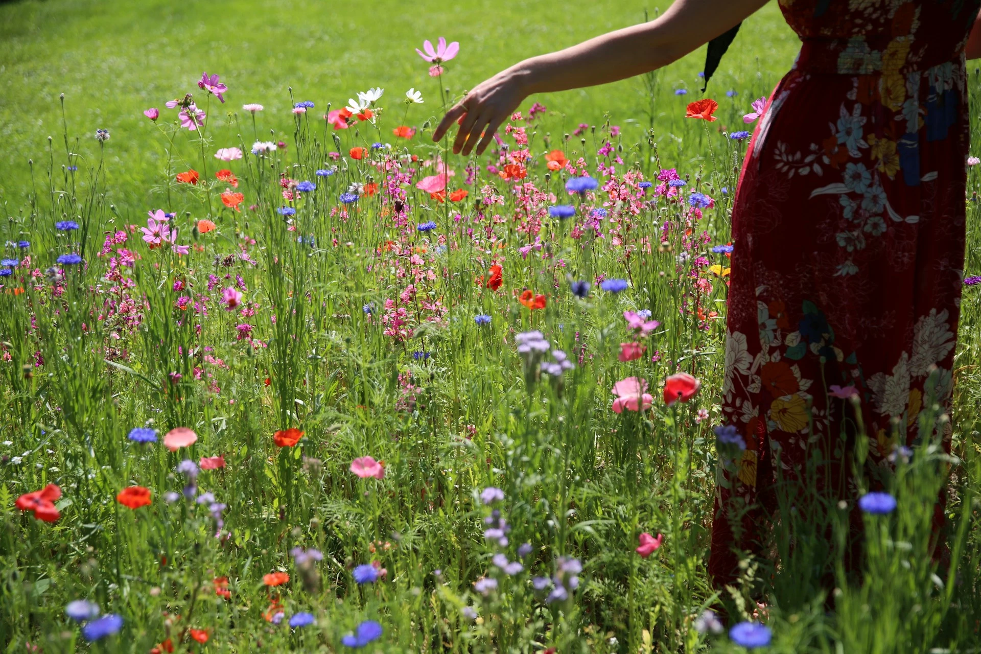 Ava Sol J Ts1h2vswe Unsplash (1)